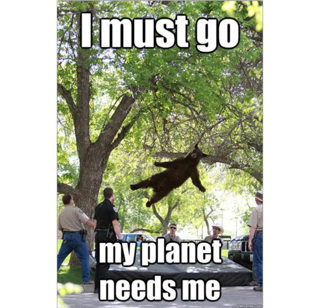 I must go
my planet
needs me
quickmeme.com