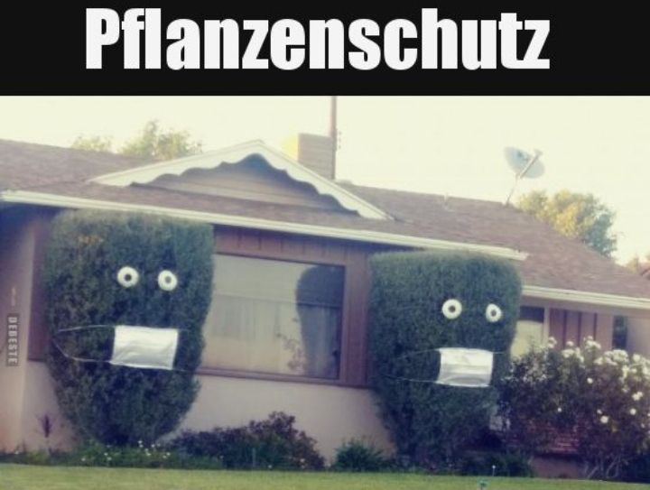 DEBESTE
Pflanzenschutz