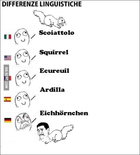 DIFFERENZE LINGUISTICHE
VIA 9GAG.COM
@
&
(0)
BY
Scoiattolo
Squirrel
Ecureuil
Ardilla
Eichhörnchen