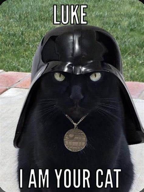 Eine schwarze Katze trägt einen Darth Vader Helm und eine Halskette mit dem Todesstern Anhänger. Über dem Kopf der Katze steht in Großbuchstaben "LUKE" und unter der Katze steht "I AM YOUR CAT".