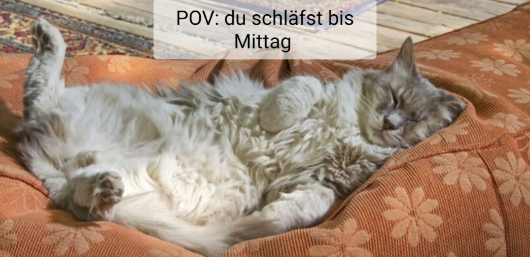 POV: du schläfst bis
Mittag
*