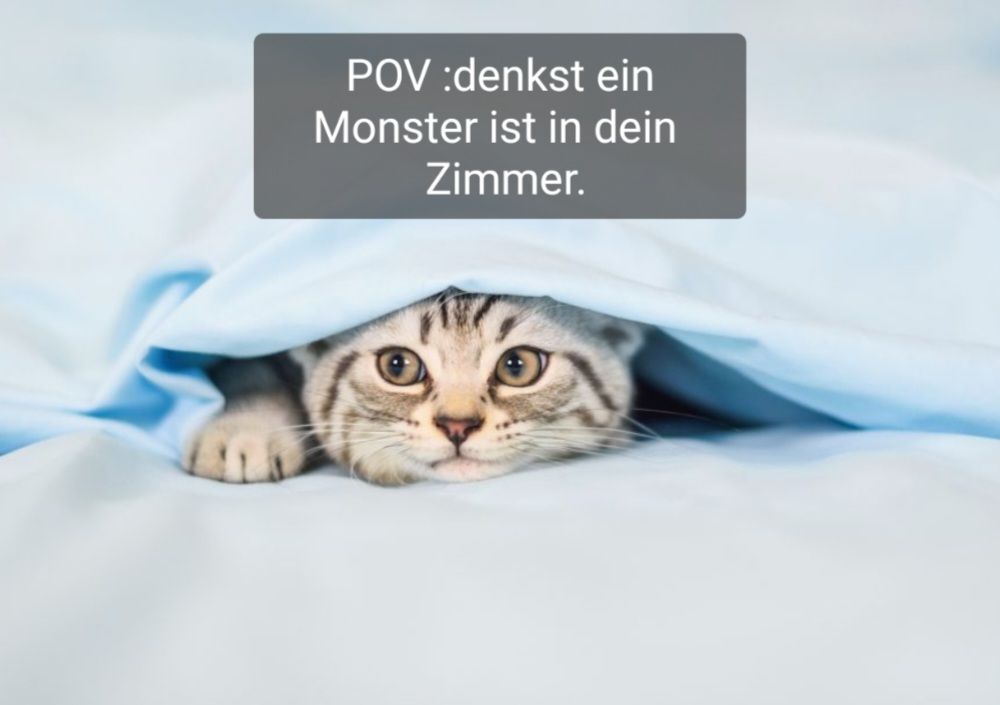 POV :denkst ein
Monster ist in dein
Zimmer.