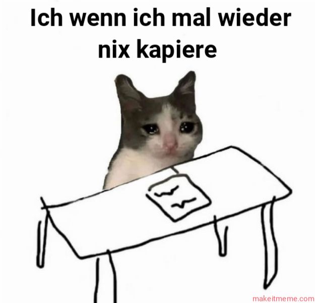 Ich wenn ich mal wieder
nix kapiere
T
make itmeme.com