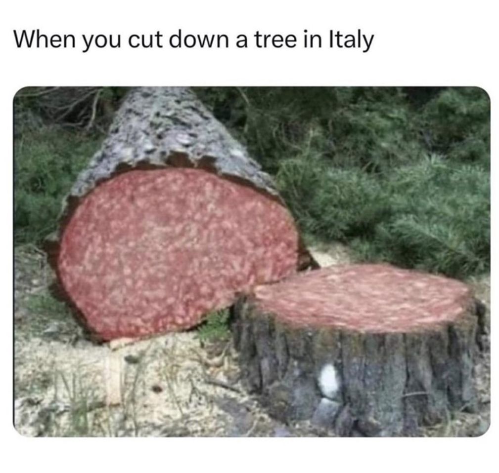 When you cut down a tree in Italy