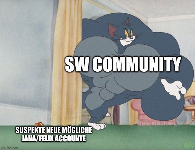 SW COMMUNITY
SUSPEKTE NEUE MÖGLICHE
JANA/FELIX ACCOUNTE
