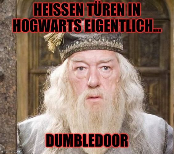 HEISSEN TÜREN IN
HOGWARTS EIGENTLICH...

DUMBLEDOOR