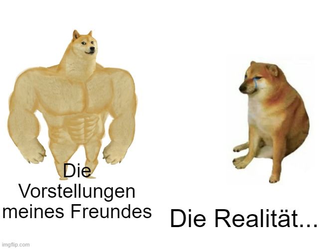 Die
Vorstellungen
meines Freundes Die Realität...
