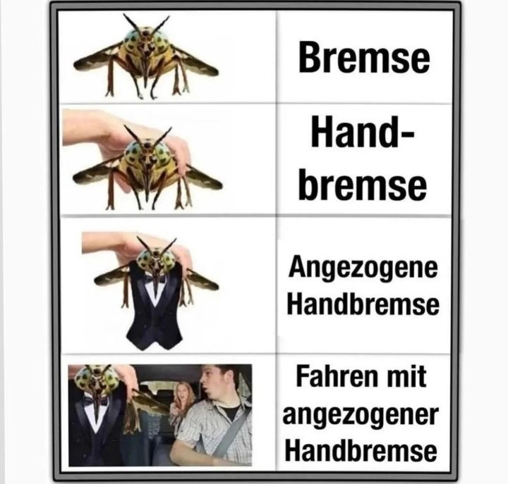 Bremse
Hand-
bremse
Angezogene
Handbremse
Fahren mit
angezogener
Handbremse