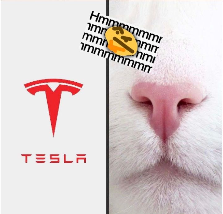 աաաաաաւ
սաա
նաւ
հաս
նաև
աաաաաաH
TESLA
..