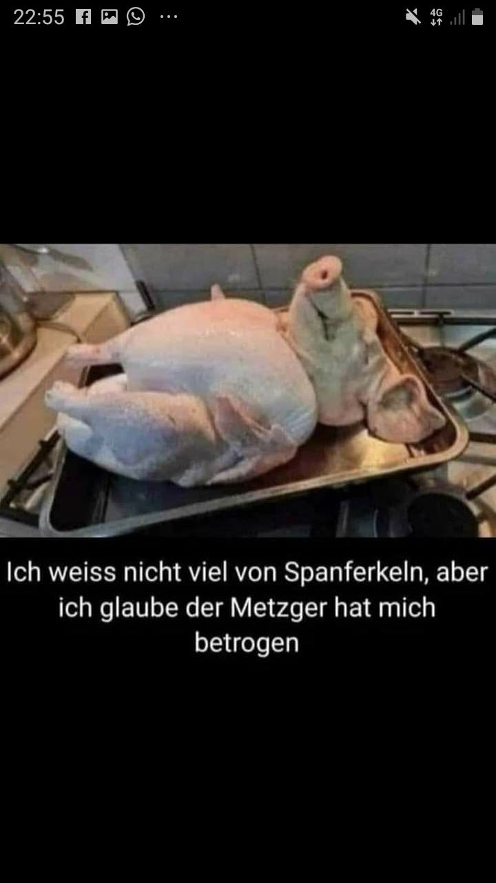 22:55
:
Ich weiss nicht viel von Spanferkeln, aber
ich glaube der Metzger hat mich
betrogen