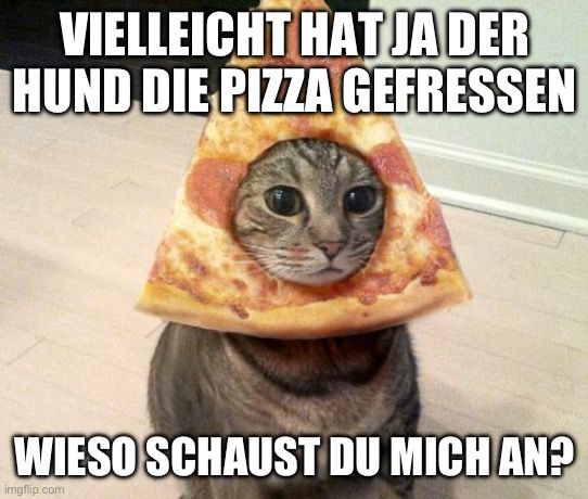 VIELLEICHT HAT JA DER
HUND DIE PIZZA GEFRESSEN
WIESO SCHAUST DU MICH AN?
