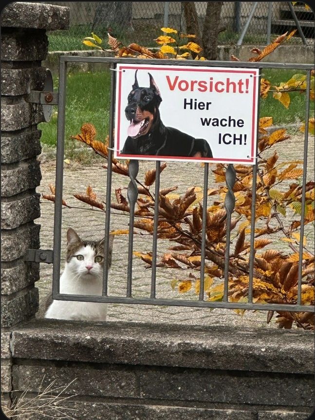 MONT
Vorsicht!
Hier
wache
ICH!