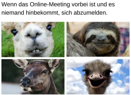 Wenn das Online-Meeting vorbei ist und es
niemand hinbekommt, sich abzumelden.