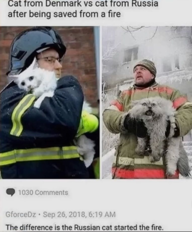 Cat from Denmark vs cat from Russia
after being saved from a fire
1030 Comments
GforceDz Sep 26, 2018, 6:19 AM
The difference is the Russian cat started the fire.