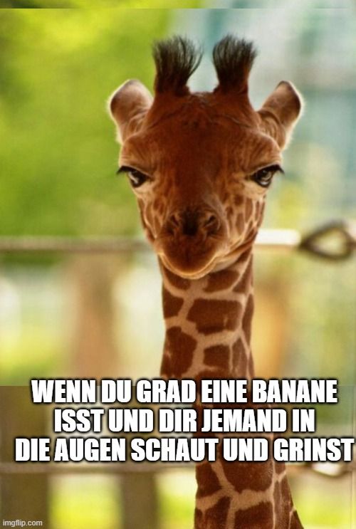 WENN DU GRAD EINE BANANE
ISST UND DIR JEMAND IN
DIE AUGEN SCHAUT UND GRINST
