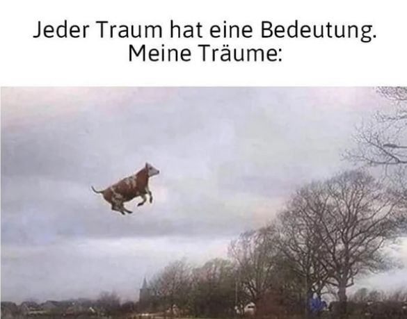 Jeder Traum hat eine Bedeutung.
Meine Träume: