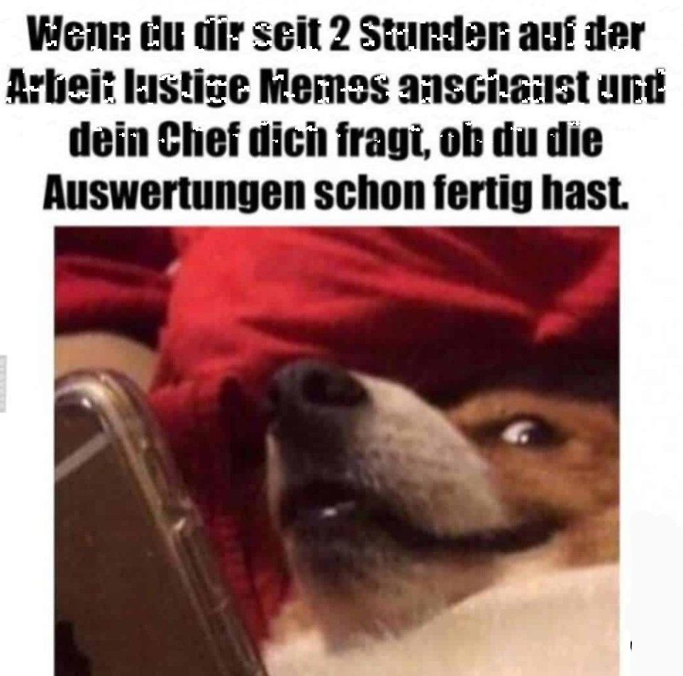 Wenn du dir seit 2 Stunden auf der
Arbeit lustige Memos anschaust und
dein Chef dich fragt, ob du die
Auswertungen schon fertig hast.