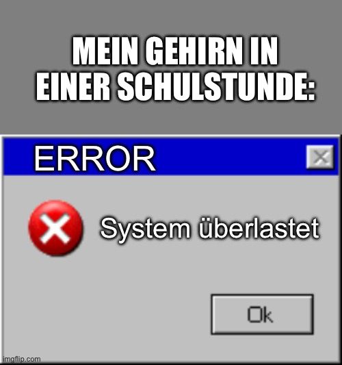 MEIN GEHIRN IN
EINER SCHULSTUNDE:
ERROR
X System überlastet

Ok