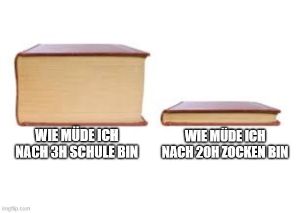 WIE MÜDE ICH
NACH 3H SCHULE BIN

WIE MÜDE ICH
NACH 20H ZOCKEN BIN