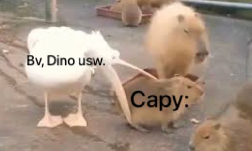 Bv, Dino usw.
Capy: