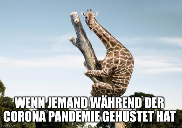 WENN JEMAND WÄHREND DER
CORONA PANDEMIE GEHUSTET HAT
