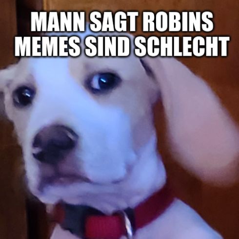 MANN SAGT ROBINS
MEMES SIND SCHLECHT