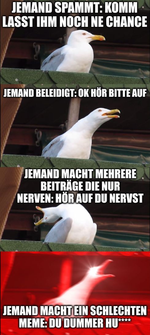 JEMAND SPAMMT: KOMM
LASST IHM NOCH NE CHANCE
JEMAND BELEIDIGT: OK HÖR BITTE AUF
JEMAND MACHT MEHRERE
BEITRÄGE DIE NUR
NERVEN: HÖR AUF DU NERVST
JEMAND MACHT EIN SCHLECHTEN
MEME: DU DUMMER HU**
****