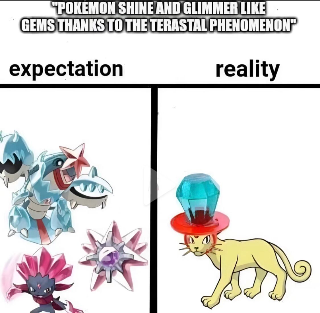 "POKEMON SHINE AND GLIMMER LIKE
GEMS THANKS TO THE TERASTAL PHENOMENON™
expectation
reality