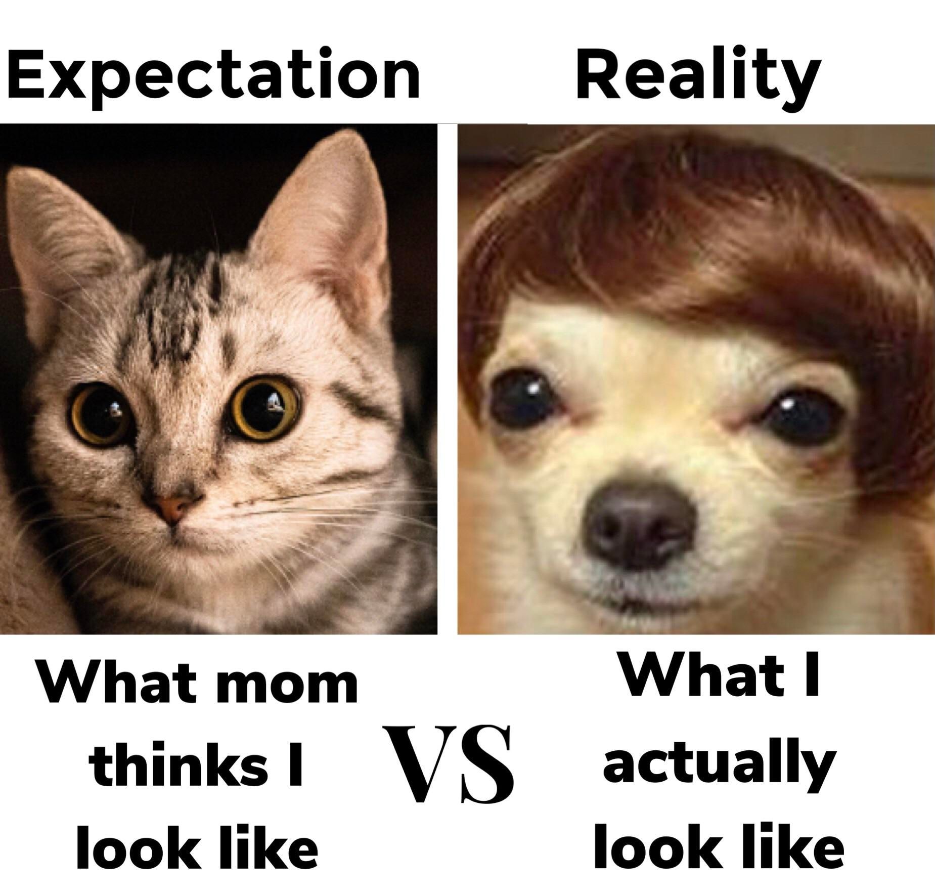 Expectation
Reality
What mom
What I
thinks I VS actually
look like
look like