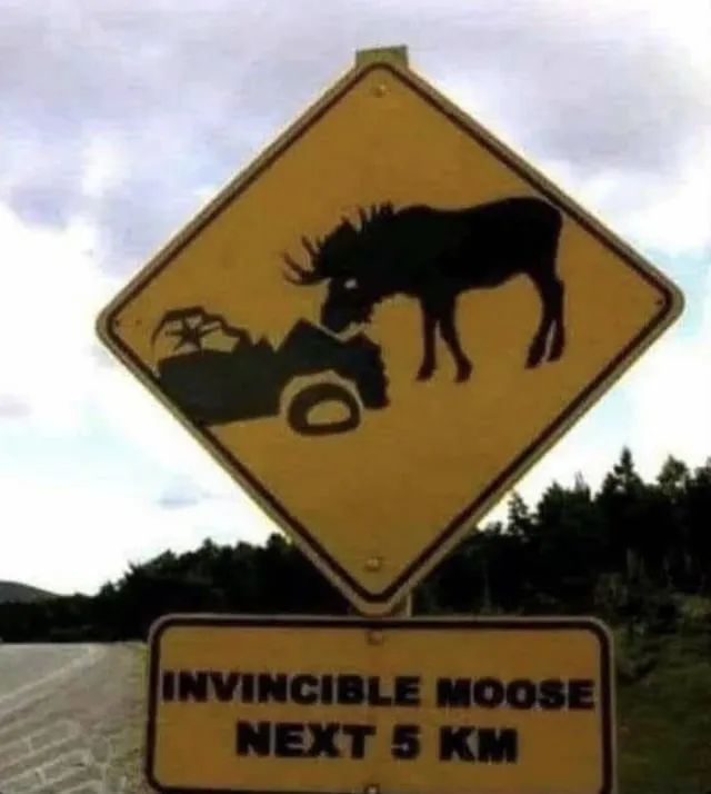 Ein gelbes Warnschild zeigt einen Elch, der ein Auto zertrümmert. Darunter steht auf einem kleineren gelben Schild: "INVINCIBLE MOOSE. NEXT 5 KM."