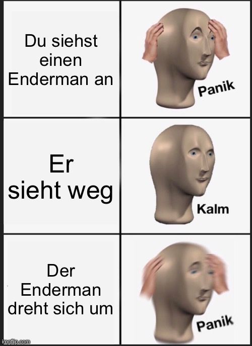 Du siehst
einen
Enderman an
Er
sieht weg
Der
Enderman
dreht sich um

Panik
Kalm
Panik