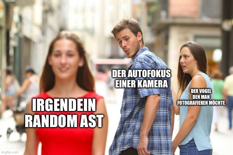 
IRGENDEIN
RANDOM AST
DER AUTOFOKUS
EINER KAMERA
DER VOGEL
DEN MAN
FOTOGRAFIEREN MÖCHTE