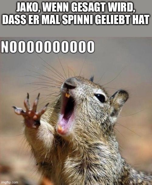 JAKO, WENN GESAGT WIRD,
DASS ER MAL SPINNI GELIEBT HAT
NO000000000
