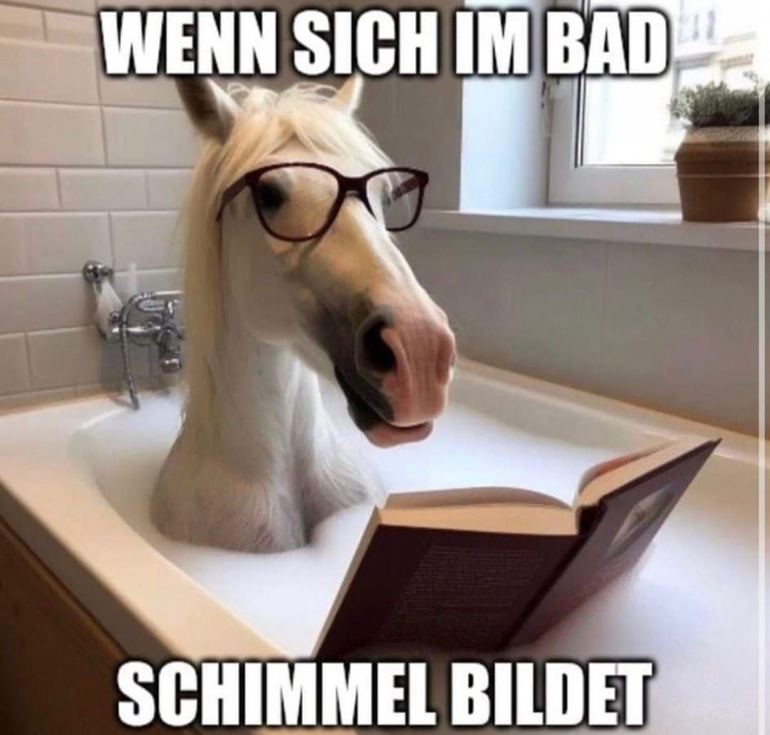 WENN SICH IM BAD
SCHIMMEL BILDET