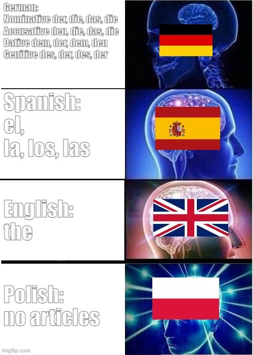 German:
Nominative der, die, das, die
Accusative den, die, das, die
Dative dem, der, dem, den
Genitive des, der, des, der
Spanish:
el,
la, los, las
English:
the
Polish:
no articles

CKI