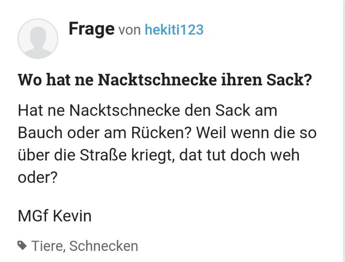 Ein Screenshot eines Textbeitrags, der fragt, wo eine Nacktschnecke ihren Sack hat. Es wird weiter gefragt, ob die Schnecke ihn am Bauch oder am Rücken trägt und ob das nicht weh tut, wenn sie über die Straße kriecht.