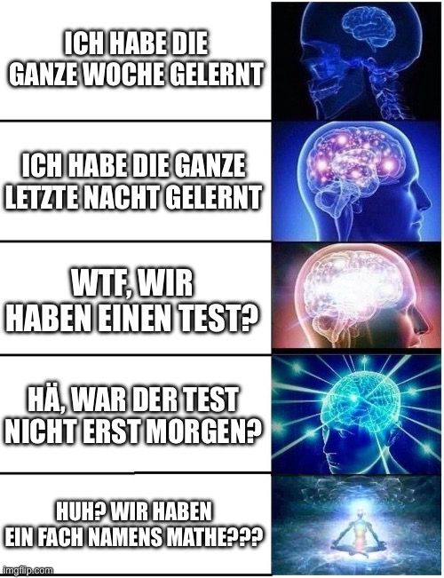 ICH HABE DIE
GANZE WOCHE GELERNT
ICH HABE DIE GANZE
LETZTE NACHT GELERNT
WTF, WIR
HABEN EINEN TEST?
HÄ, WAR DER TEST
NICHT ERST MORGEN?
HUH? WIR HABEN
EIN FACH NAMENS MATHE???
