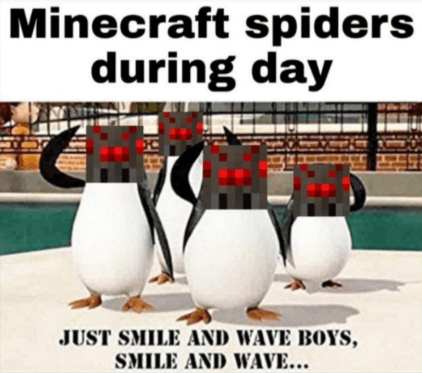 Minecraft spiders
during day
JUST SMILE AND WAVE BOYS,
SMILE AND WAVE...