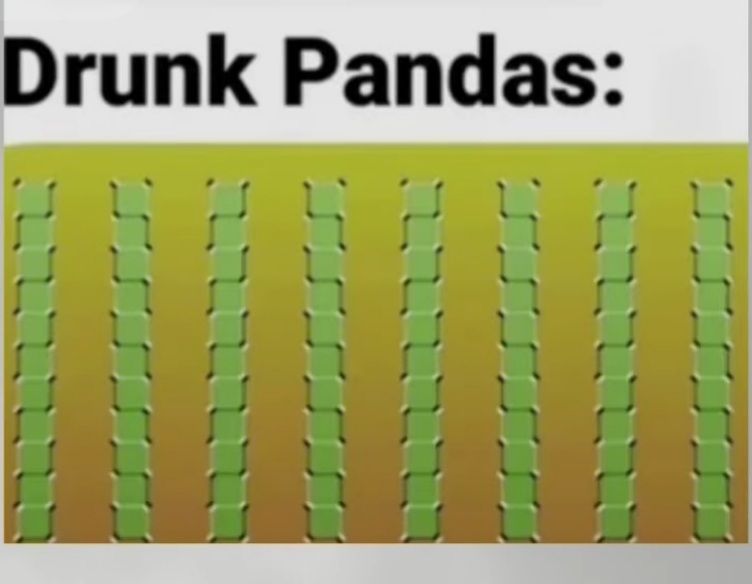 Drunk Pandas: