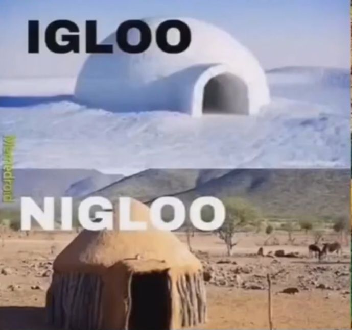 Merwedroid
IGLOO
NIGLOO