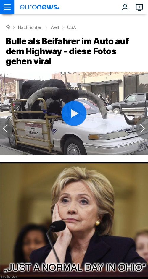 Oben ist ein Screenshot eines Artikels von Euronews mit der Überschrift: "Bulle als Beifahrer im Auto auf dem Highway - diese Fotos gehen viral", darunter ein Foto von einem Bullen im Auto. Darunter ist ein Foto von Hillary Clinton mit dem Text "JUST A NORMAL DAY IN OHIO".