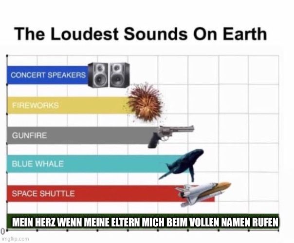 Eine Grafik zeigt die lautesten Geräusche der Welt in aufsteigender Reihenfolge, beginnend mit Konzertlautsprechern, dann Feuerwerk, Schusswaffen, Blauwal und Raumfähre. Unter der Grafik steht: "MEIN HERZ WENN MEINE ELTERN MICH BEIM VOLLEN NAMEN RUFEN."