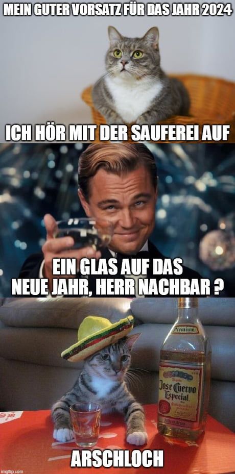 MEIN GUTER VORSATZ FÜR DAS JAHR 2024
ICH HÖR MIT DER SAUFEREI AUF
EIN GLAS AUF DAS
NEUE JAHR, HERR NACHBAR?

Premium
ER
Jose Cuervo
Especial
Sile
ARSCHLOCH