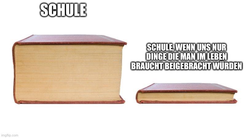 
SCHULE
SCHULE, WENN UNS NUR
DINGE DIE MAN IM LEBEN
BRAUCHT BEIGEBRACHT WÜRDEN