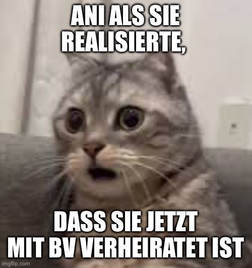 ANI ALS SIE
REALISIERTE,
DASS SIE JETZT
MIT BV VERHEIRATET IST
