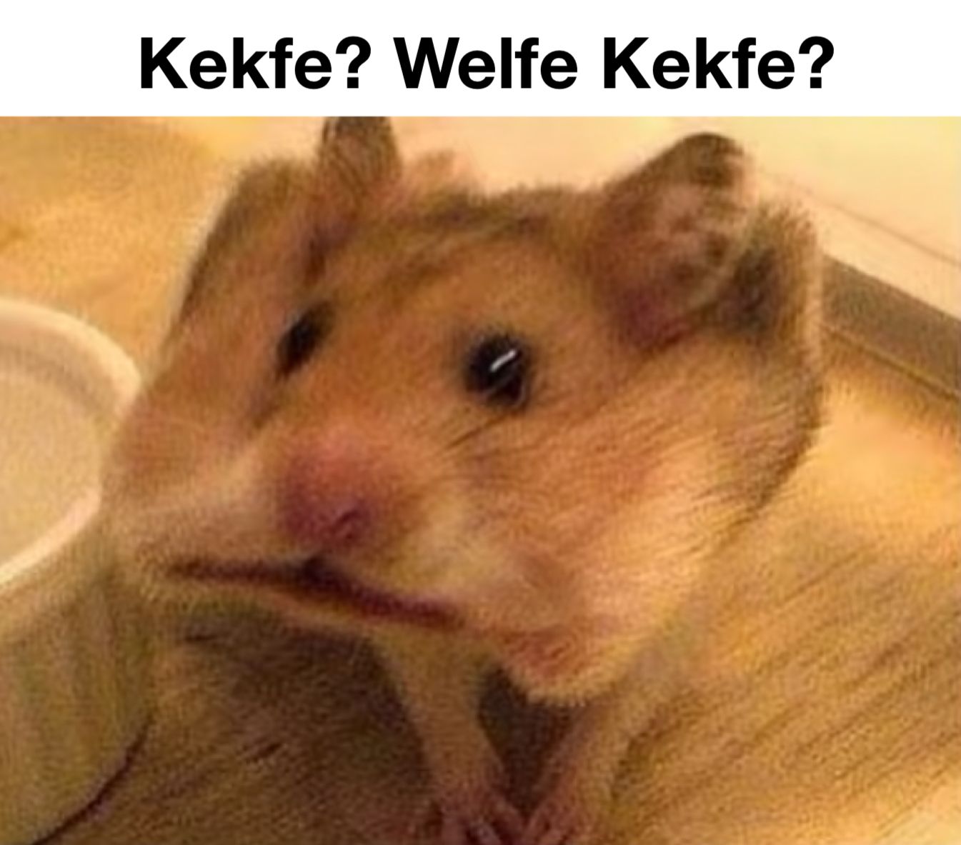 Kekfe? Welfe Kekfe?