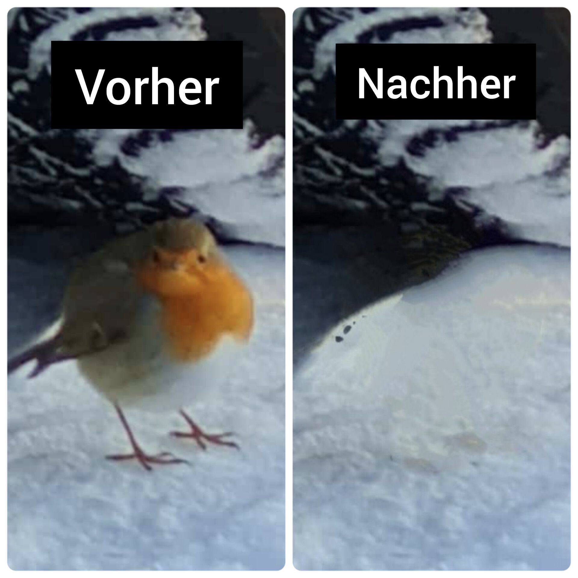 Vorher
Nachher