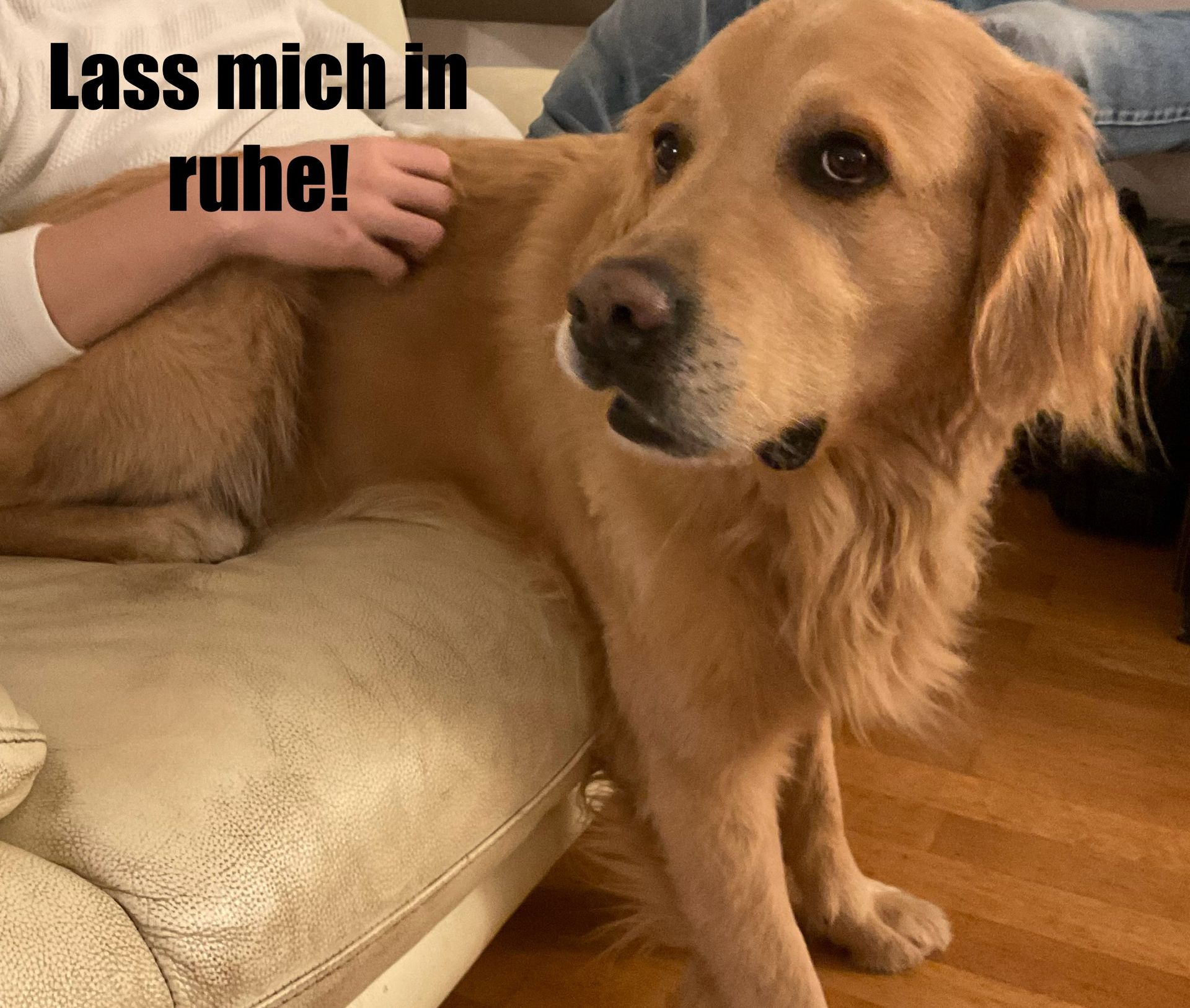 Lass mich in
ruhe!