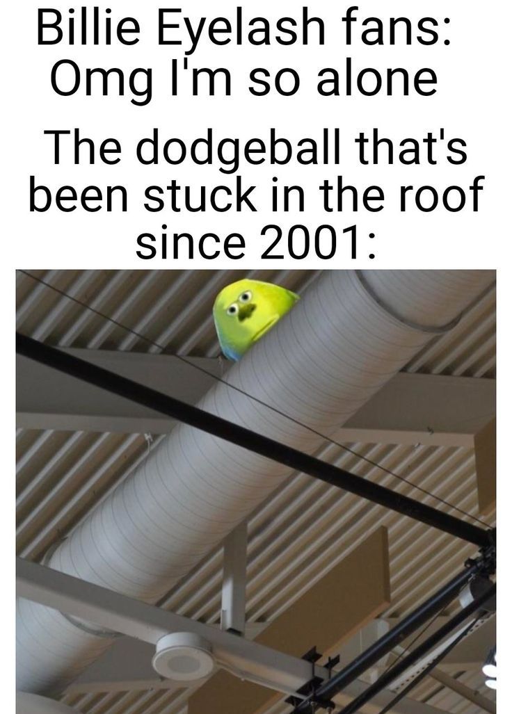 Billie Eyelash fans:
Omg I'm so alone
The dodgeball that's
been stuck in the roof
since 2001: