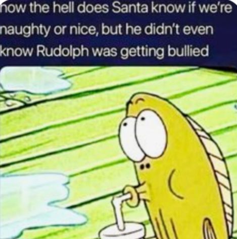 how the hell does Santa know if we're
naughty or nice, but he didn't even
know Rudolph was getting bullied